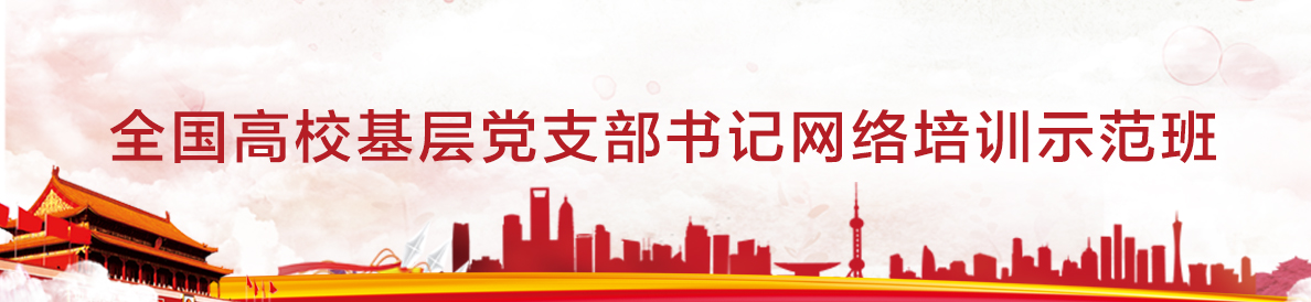 全国高校基层党支部书记网络培训示范班